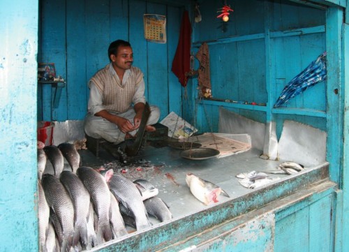 Obchodník s rybami v Darjeelingu